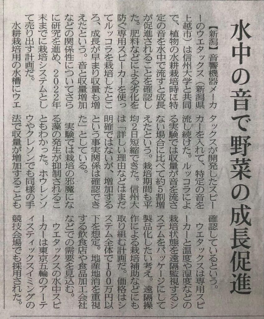 244452464_134707025557590_809357096599937498_n-847x1024 稲の水耕音響栽培