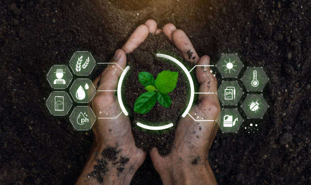 istockphoto-1463452333-612x612-2 植物工場が抱える課題と対策