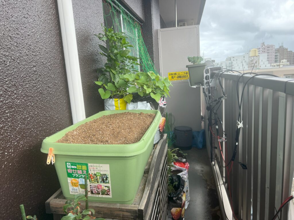 2025-06-24_16-22-39_197-1024x768 うりぼー農園の整備🥔🍅
