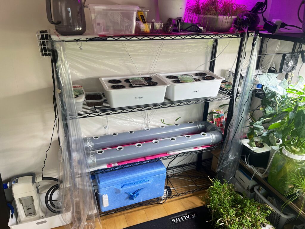 GtJedTBagAAx_o3-1024x768 植物工場の植え付け作業🍅